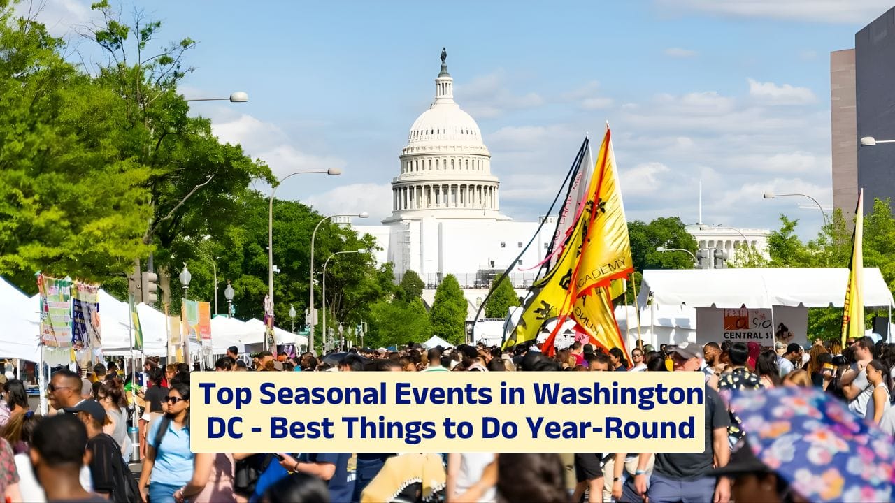 Top Seasonal Events in Washington DC – Best Things to Do Year-Round
