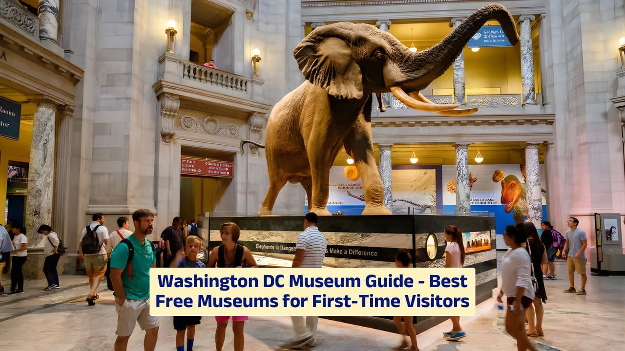 Washington DC Museum Guide – Best Free Museums for First-Time Visitors