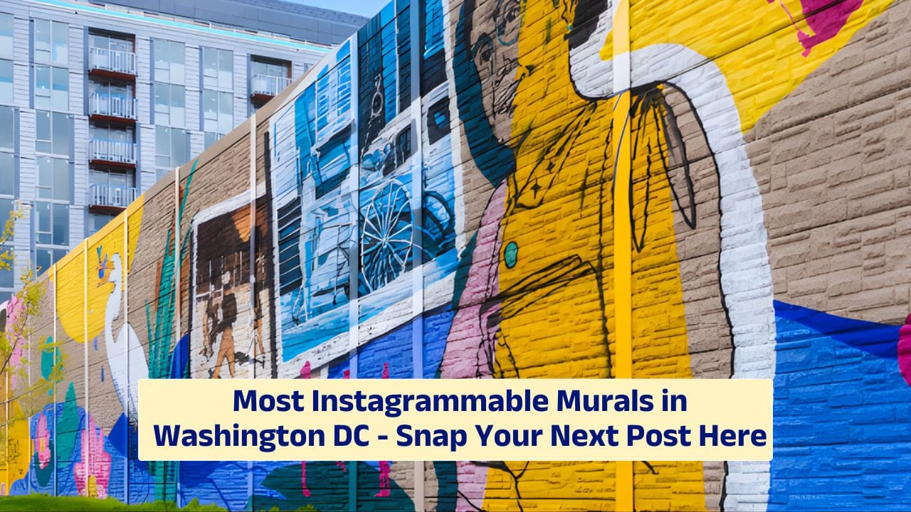 Most Instagrammable Murals in Washington DC – Snap Your Next Post Here