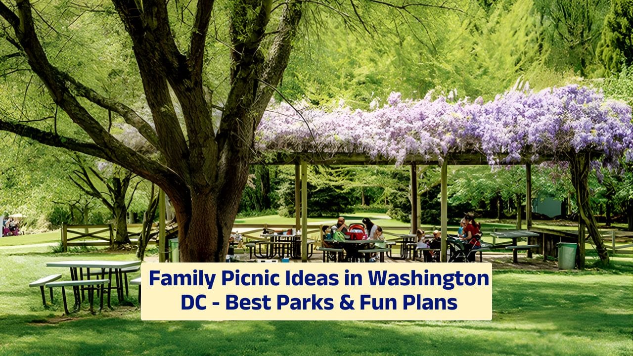 Family Picnic Ideas in Washington DC – Best Parks & Fun Plans
