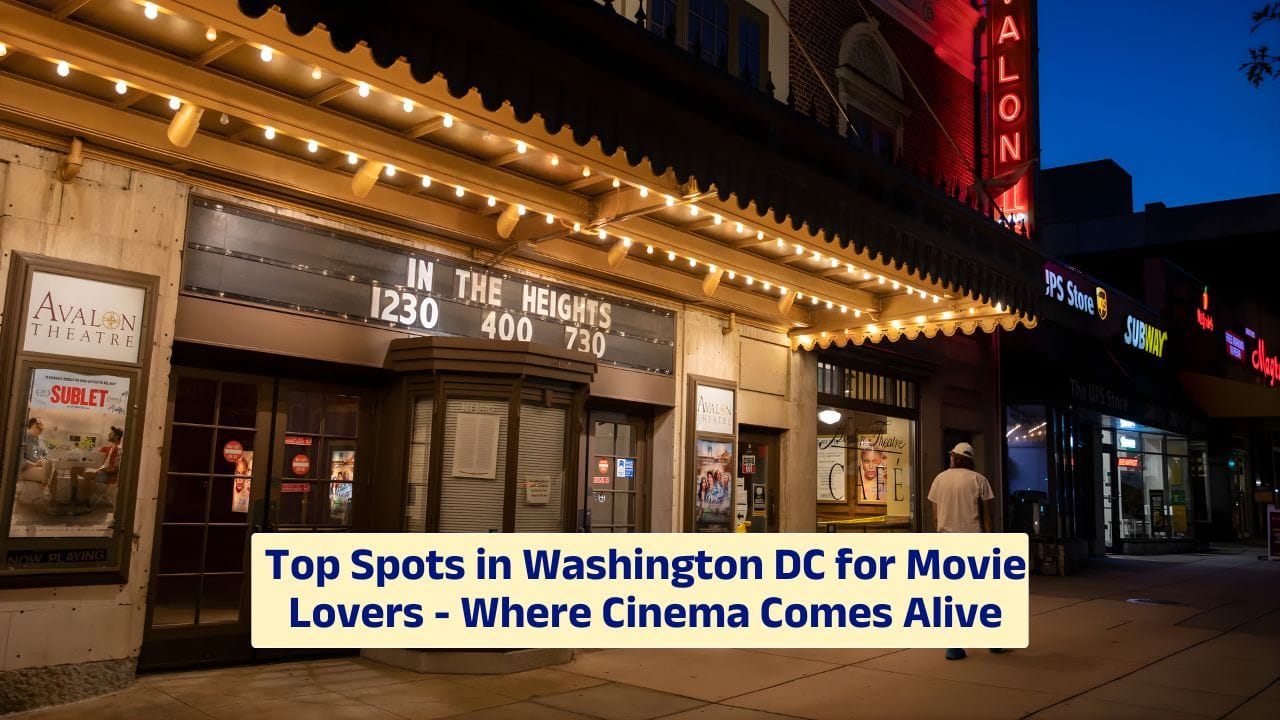 Top Spots in Washington DC for Movie Lovers – Where Cinema Comes Alive
