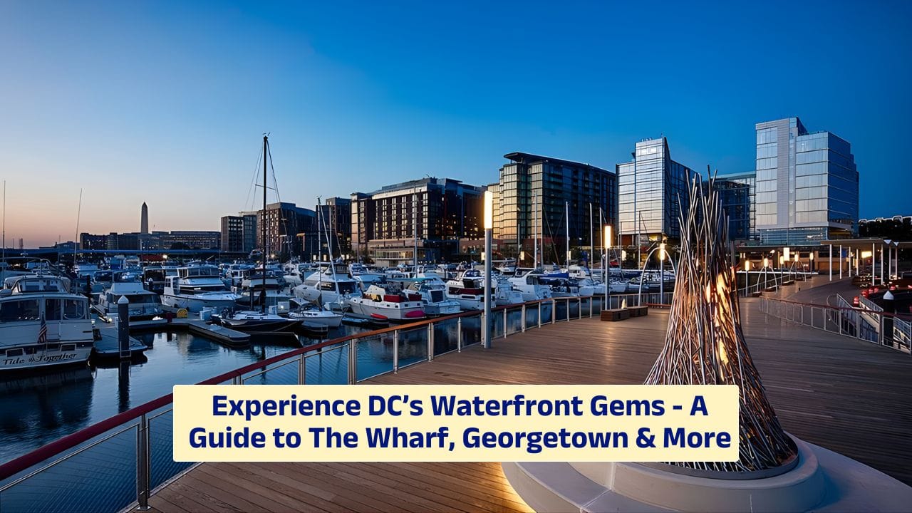 Experience DC’s Waterfront Gems – A Guide to The Wharf, Georgetown & More