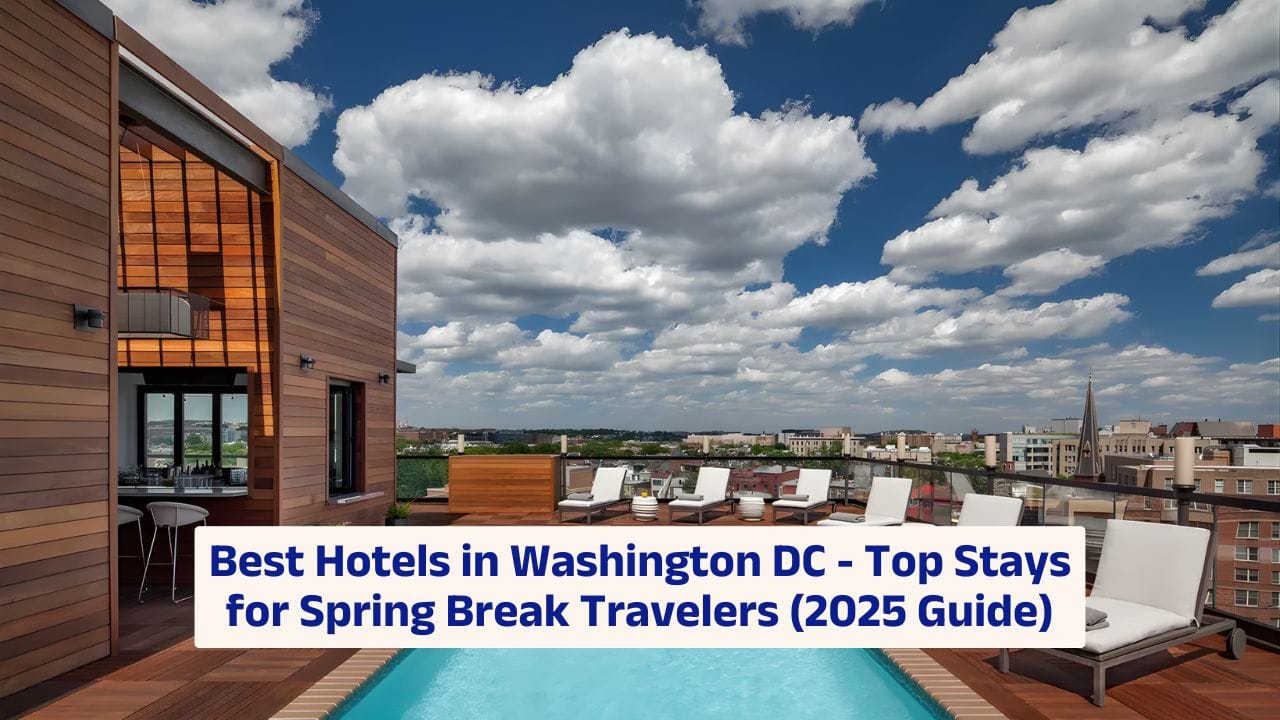 Best Hotels in Washington DC – Top Stays for Spring Break Travelers (2025 Guide)