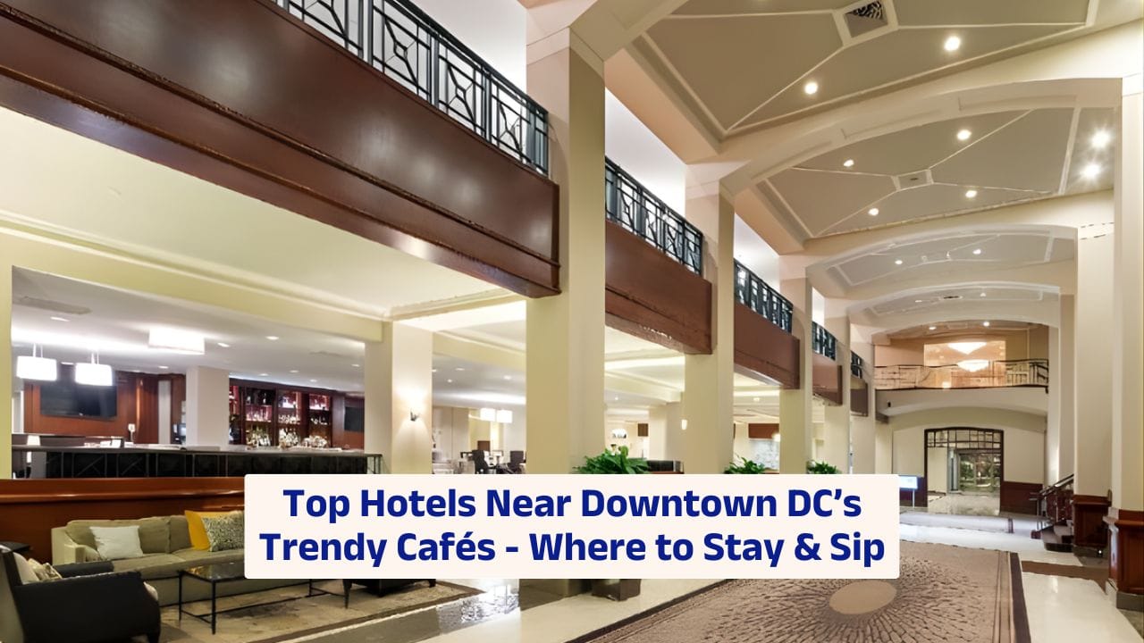 Top Hotels Near Downtown DC’s Trendy Cafés – Where to Stay & Sip