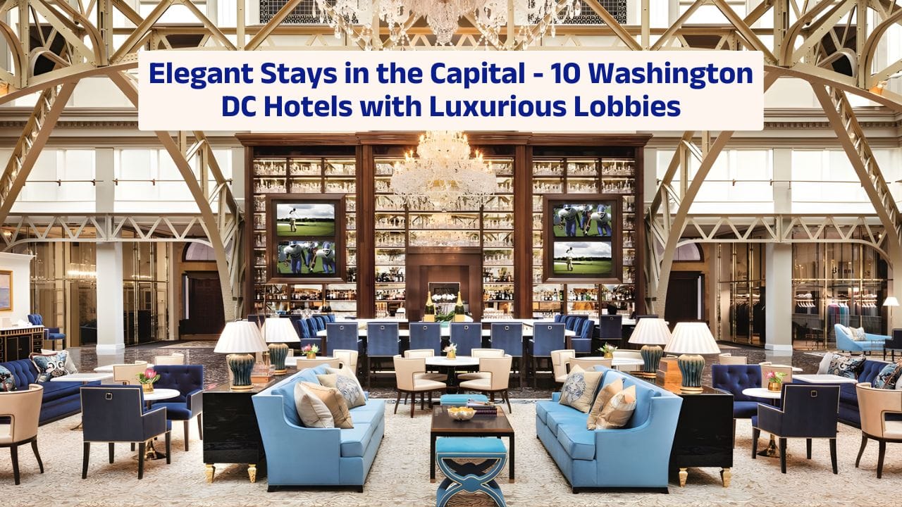 Washington DC luxury hotels