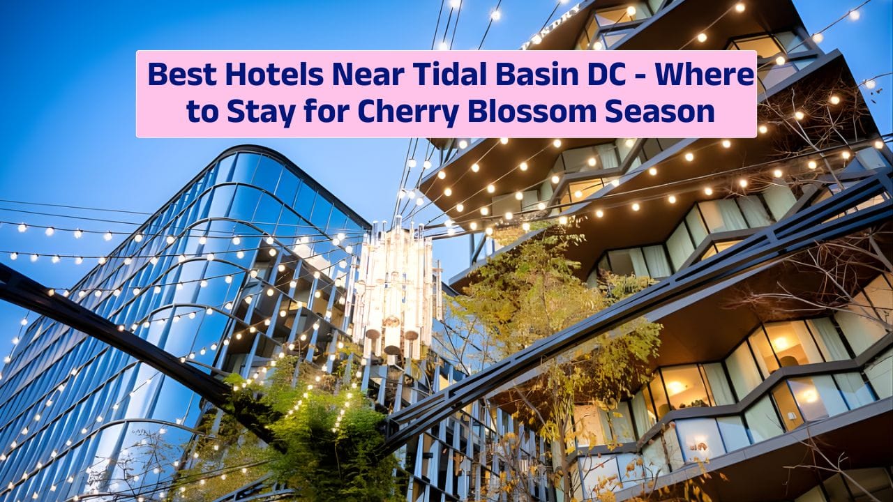 Best Hotels Near Tidal Basin DC – Where to Stay for Cherry Blossom Season