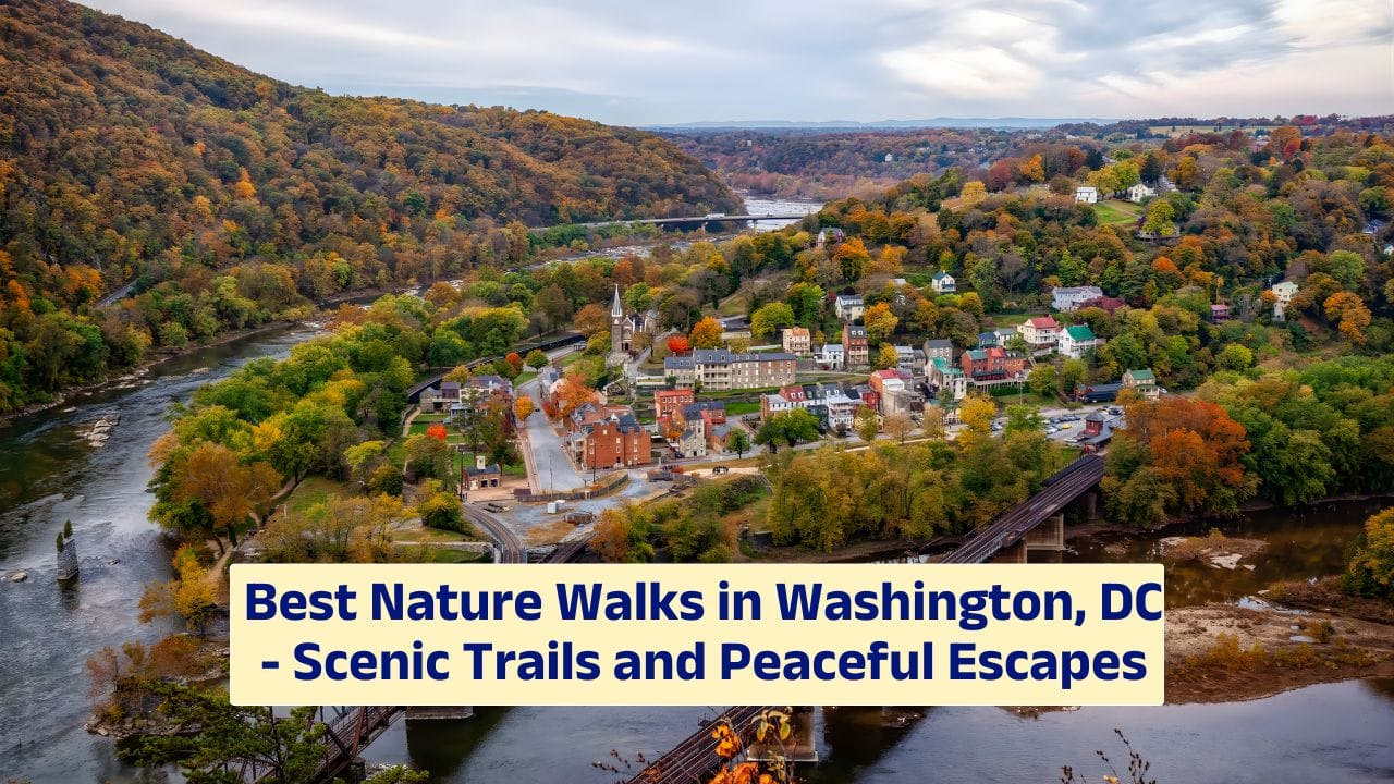 Best Nature Walks in Washington, DC – Scenic Trails and Peaceful Escapes