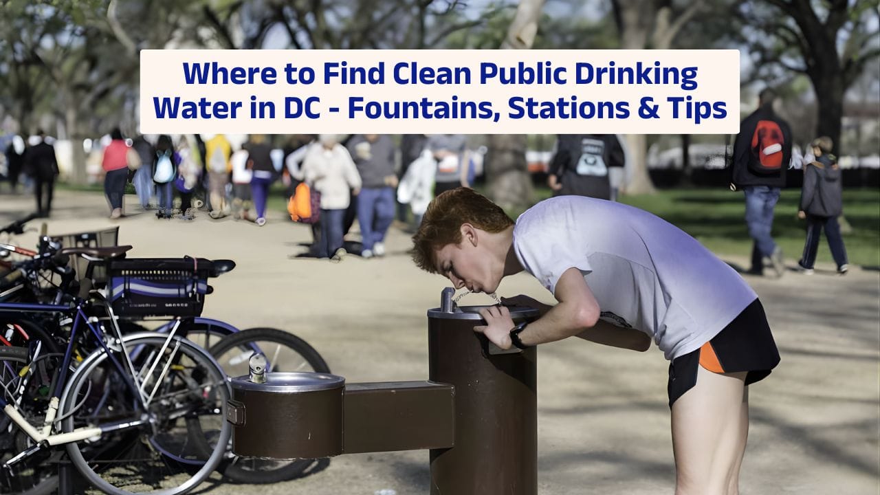 Where to Find Clean Public Drinking Water in DC – Fountains, Stations & Tips