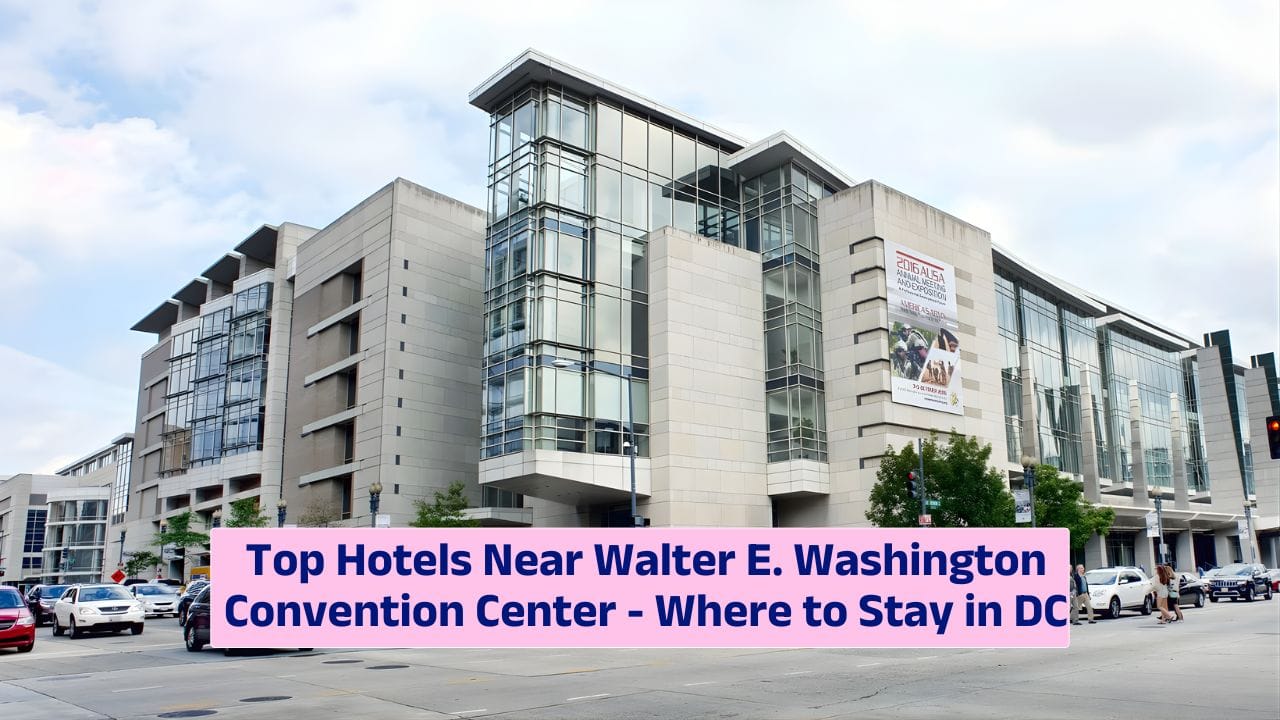 Top Hotels Near Walter E. Washington Convention Center – Where to Stay in DC