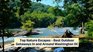 Top Nature Escapes – Best Outdoor Getaways In and Around Washington DC