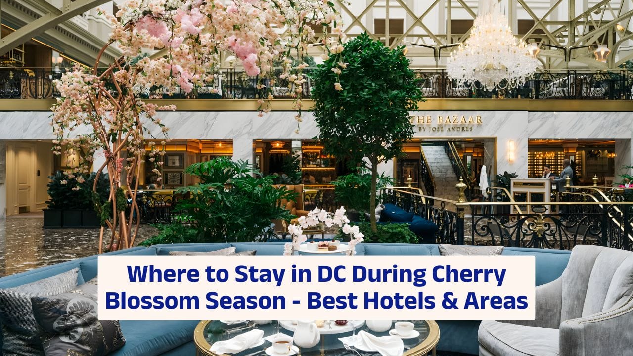 Where to Stay in DC During Cherry Blossom Season – Best Hotels & Areas