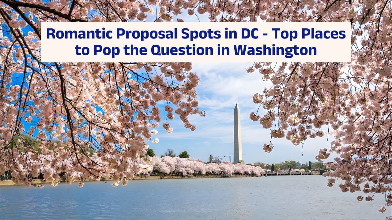 Romantic Proposal Spots in DC – Top Places to Pop the Question in Washington